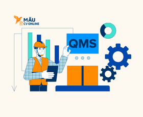 Mẫu CV Quản Lý Chất Lượng Chuyên Nghiệp Giúp Gây Ấn Tượng Mạnh